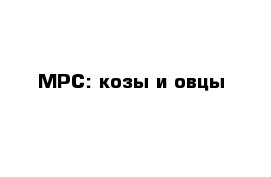 МРС: козы и овцы